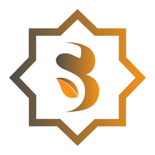 Sidra Chain Logo